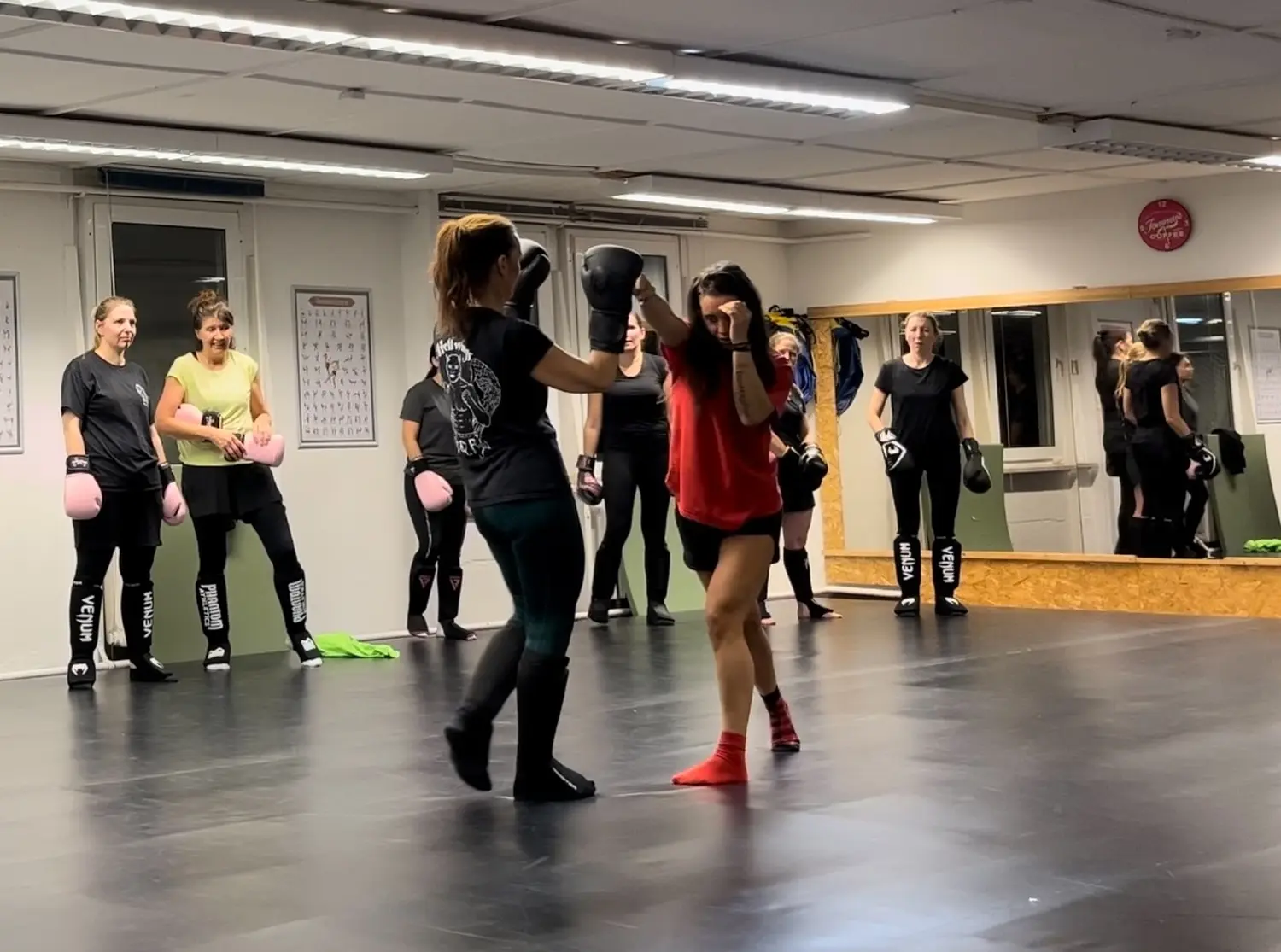 Hellwings Fit&Fight – Fitnessstudio und Sporttraining – Frauentraining