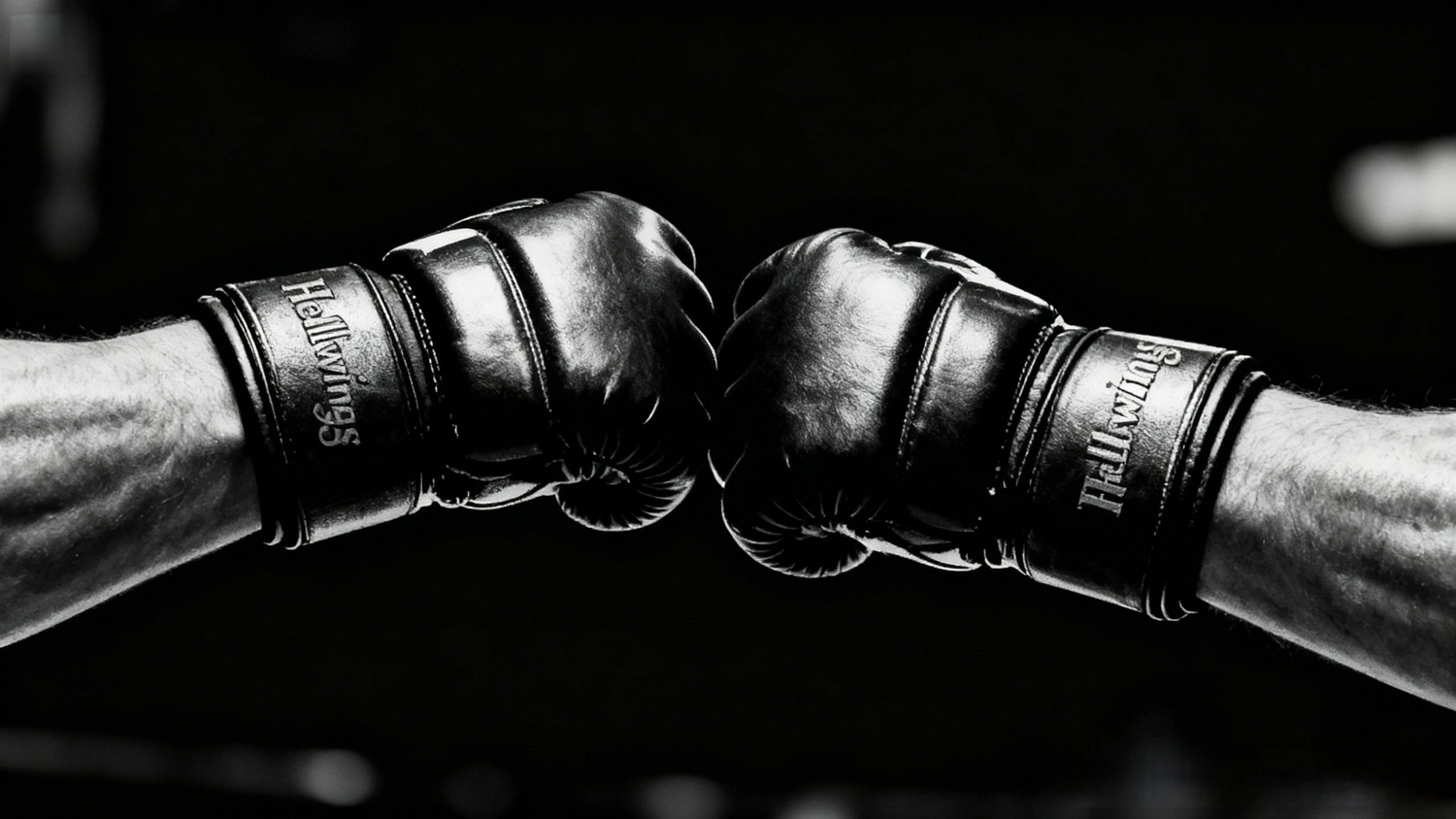 Hellwings Fit&Fight – Fitnessstudio und Sporttraining – Boxhandschuhe