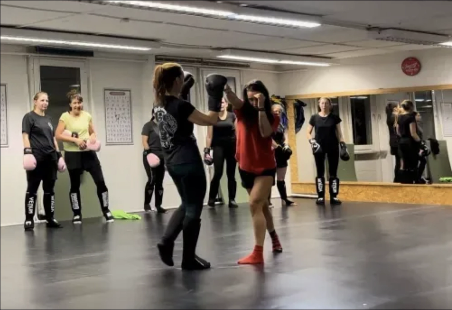 Hellwings Fit&Fight – Fitnessstudio und Sporttraining – Frauen beim Training