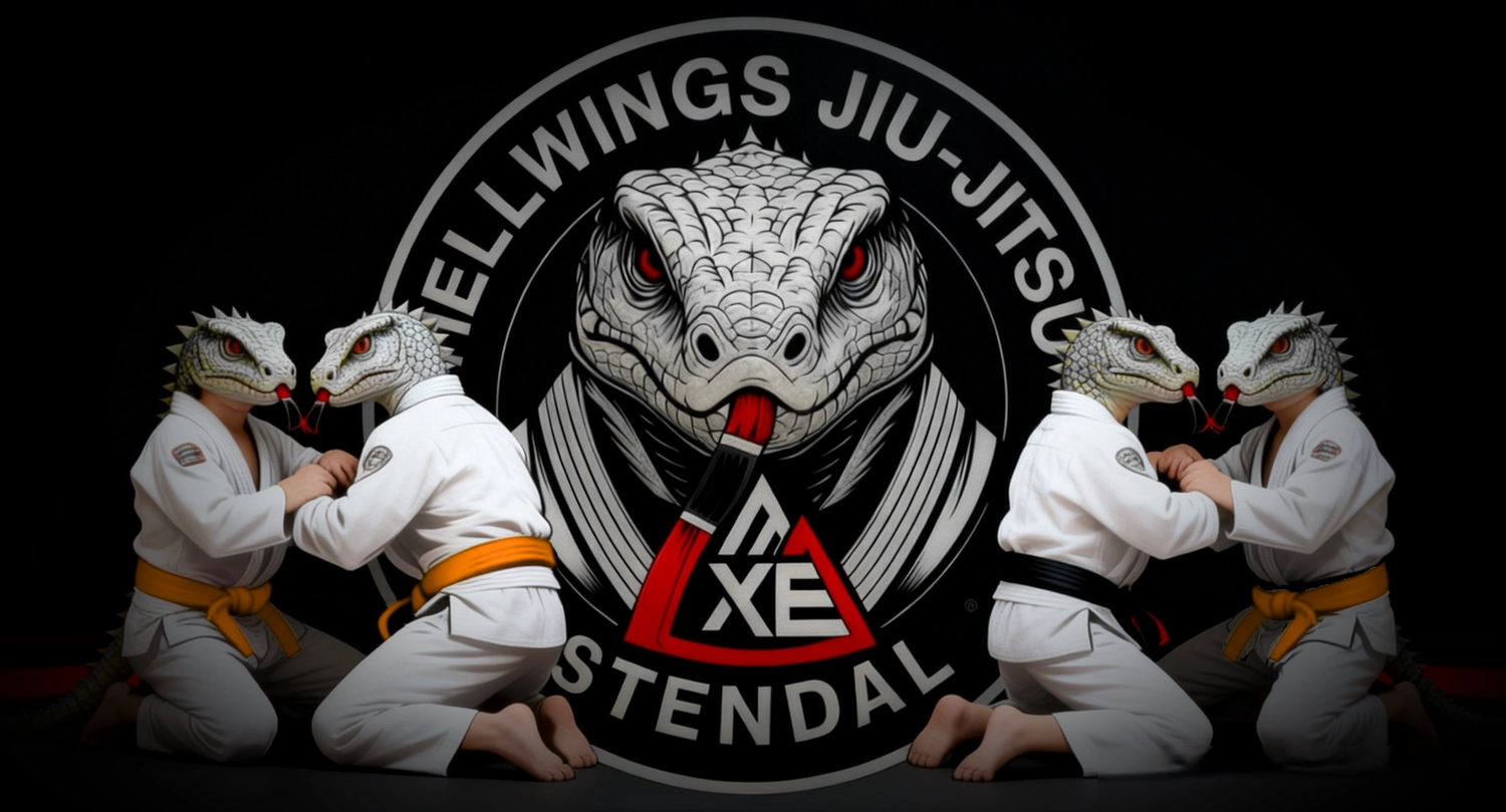 Hellwings Fit&Fight – Fitnessstudio und Sporttraining - Dragons