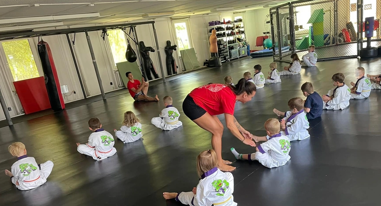 Hellwings Fit&Fight – Fitnessstudio und Sporttraining – Training für Sportler